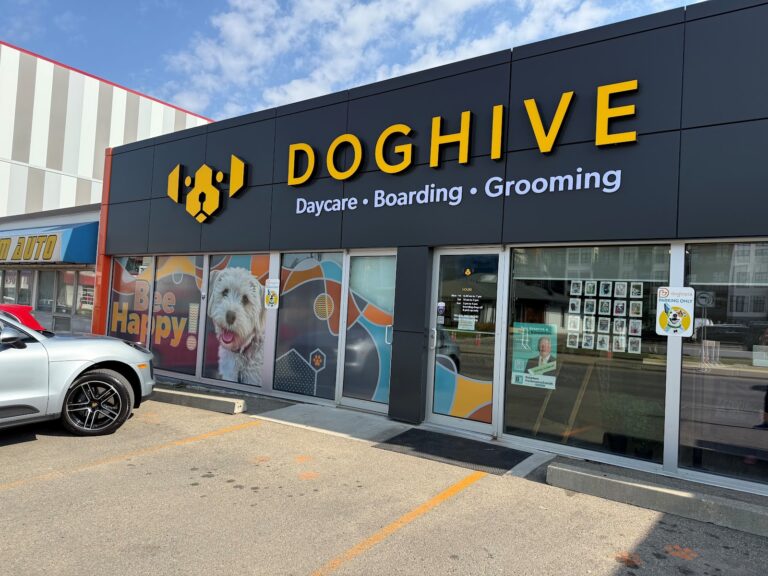 Dogtopia Edmonton Downtown